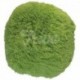 Polštář chlupatý zelený Ø 45 cm